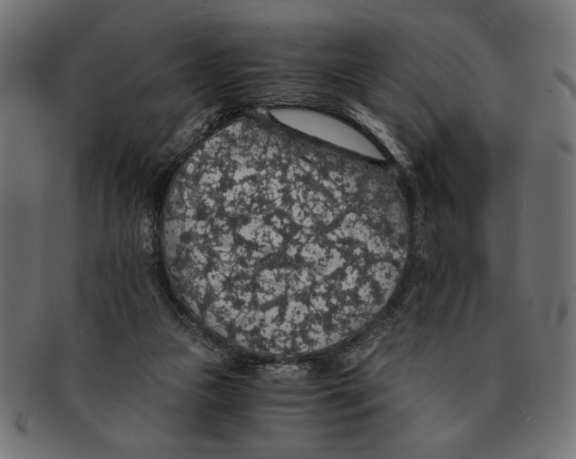 X0000091680161200709201246