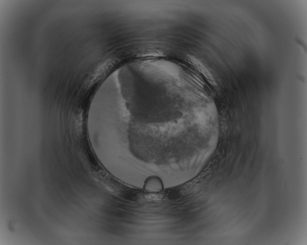 X0000091680163200709201246