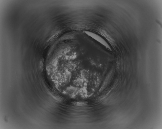 X0000091680165200709201246