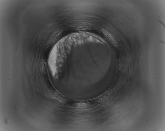 X0000091680169200709201246