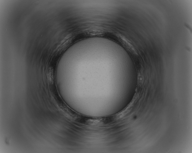 X0000091680170200709201246