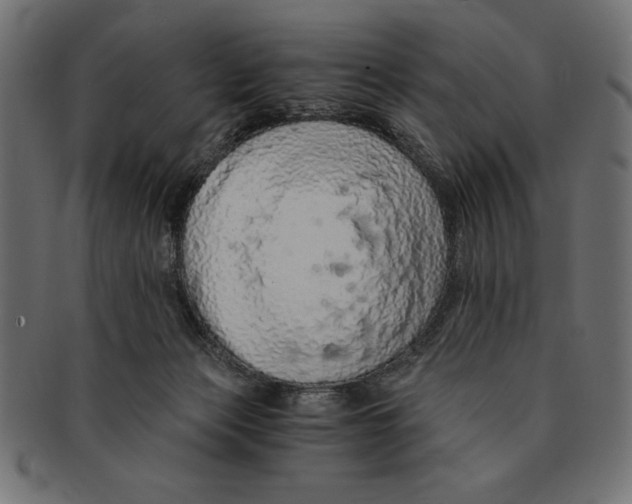 X0000091680173200709201246