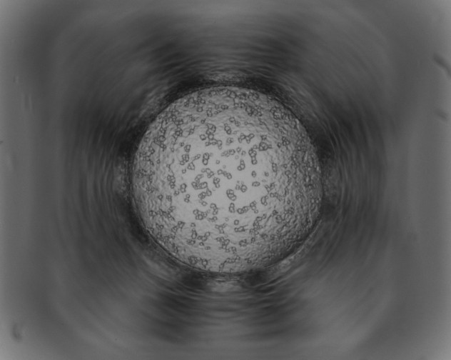 X0000091680175200709201246