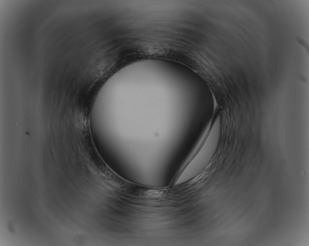 X0000091680176200709201246