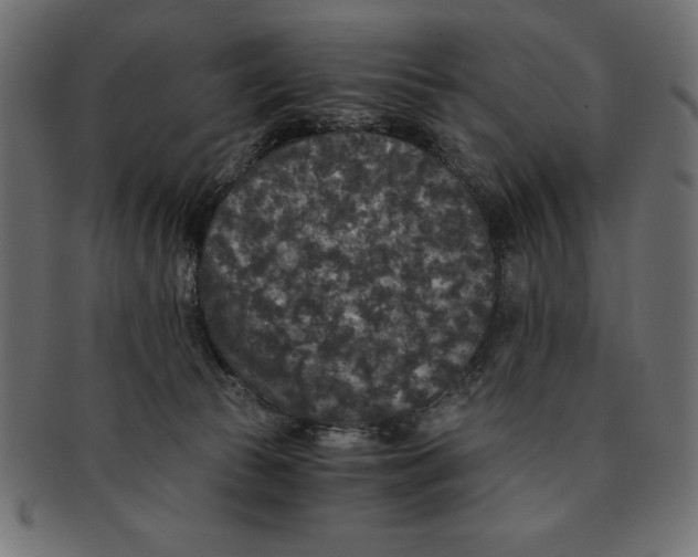 X0000091680177200709201246