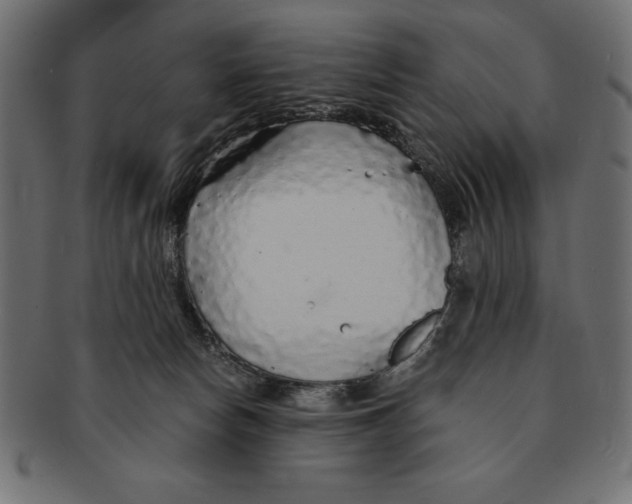 X0000091680178200709201246