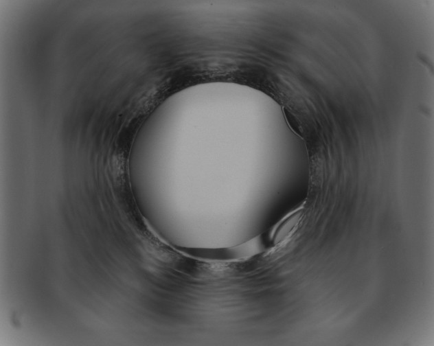 X0000091680184200709201246