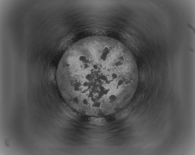 X0000091680185200709201246