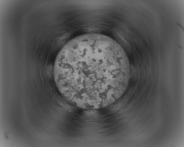 X0000091680189200709201246