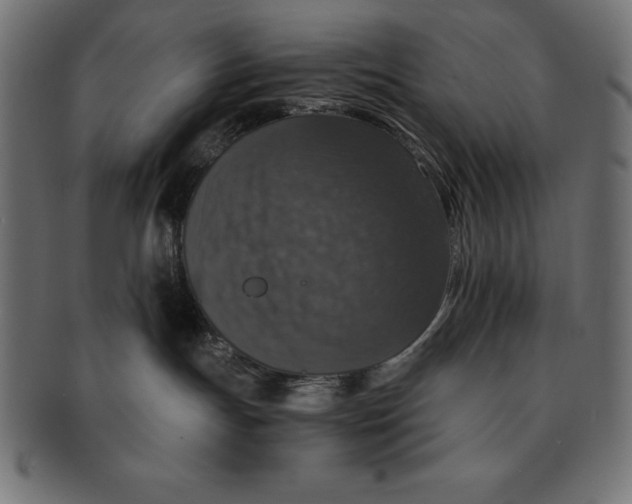 X0000091680191200709201246