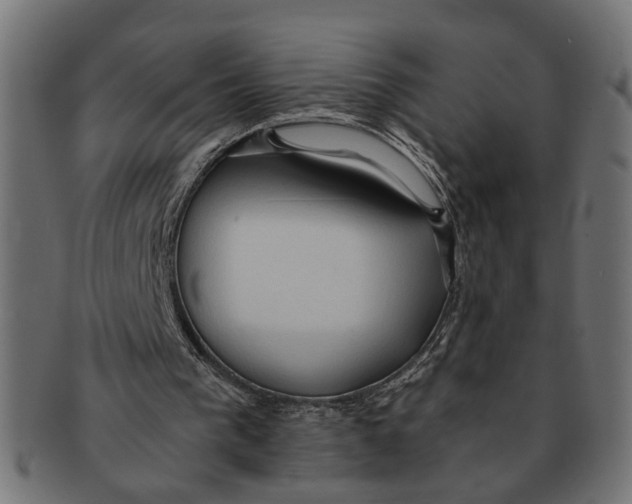 X0000091680193200709201245