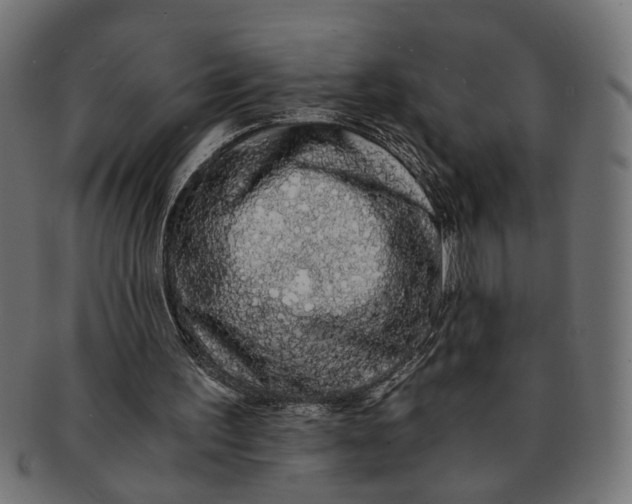 X0000091680195200709201245