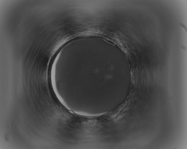 X0000091680196200709201245