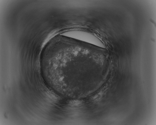 X0000091680198200709201245