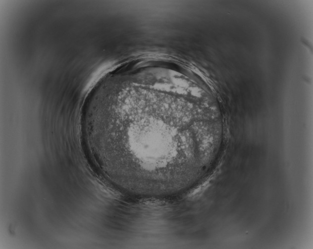 X0000091680199200709201245