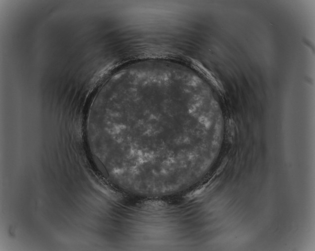 X0000091680203200709201245