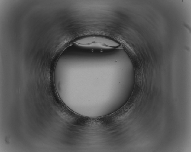 X0000091680207200709201245