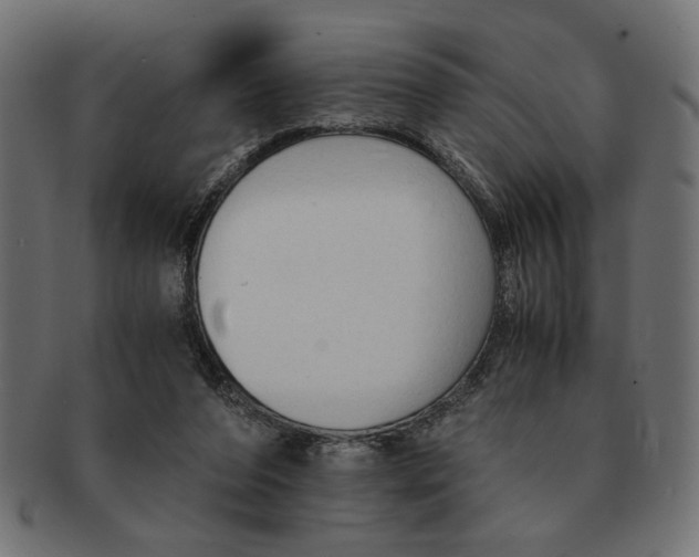 X0000091680208200709201245