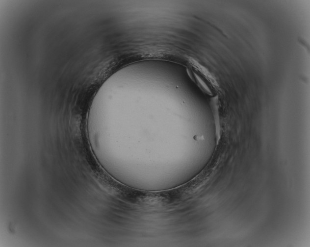 X0000091680209200709201245