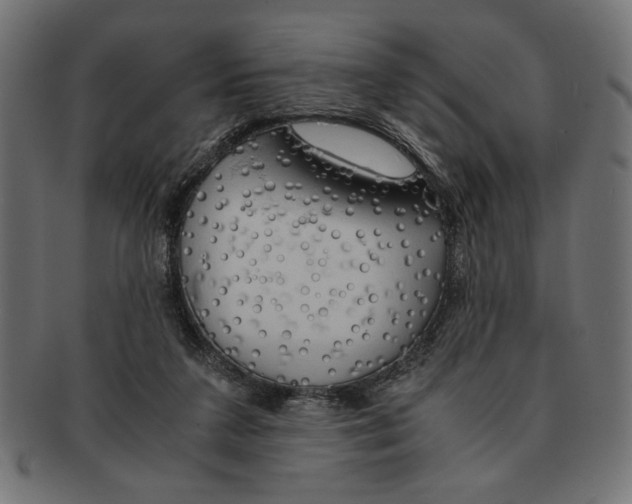 X0000091680211200709201245