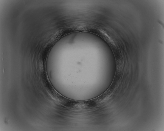 X0000091680213200709201245