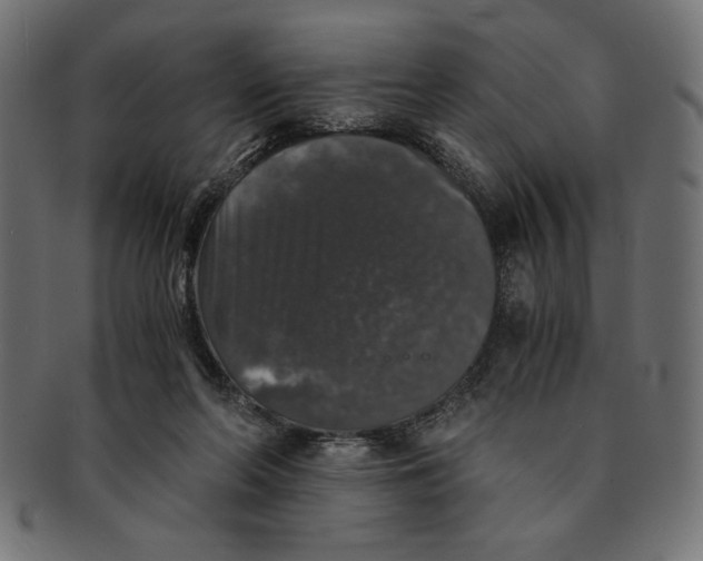 X0000091680214200709201245