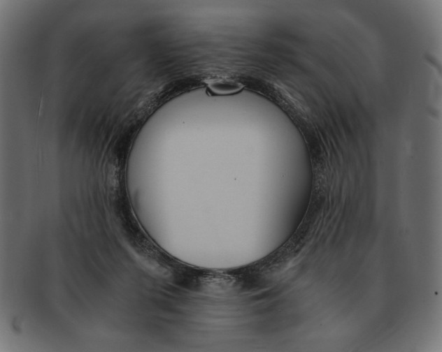 X0000091680215200709201245