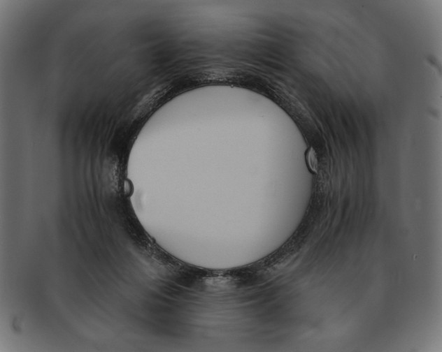 X0000091680216200709201245