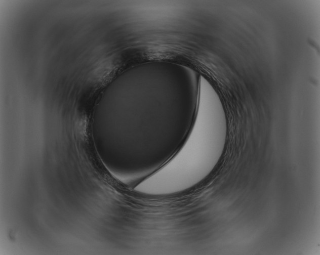 X0000091680219200709201245