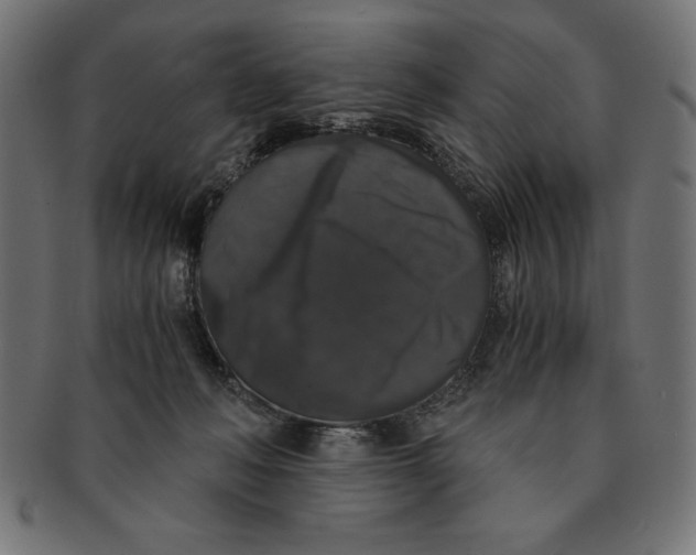 X0000091680222200709201245