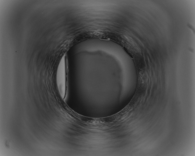 X0000091680223200709201245