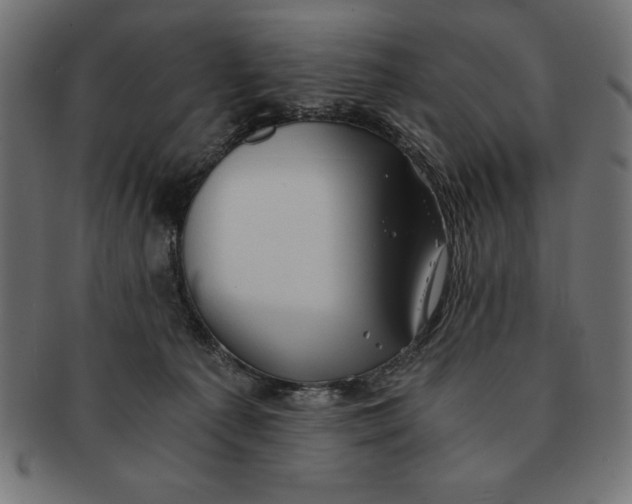 X0000091680225200709201245