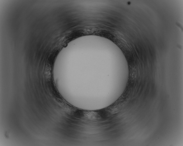 X0000091680226200709201245