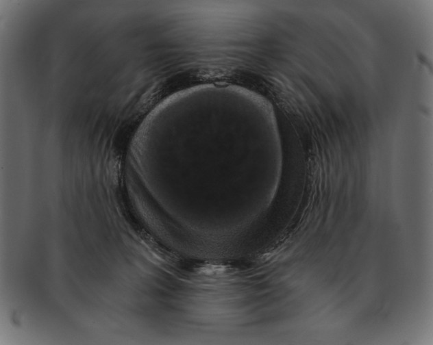 X0000091680227200709201245