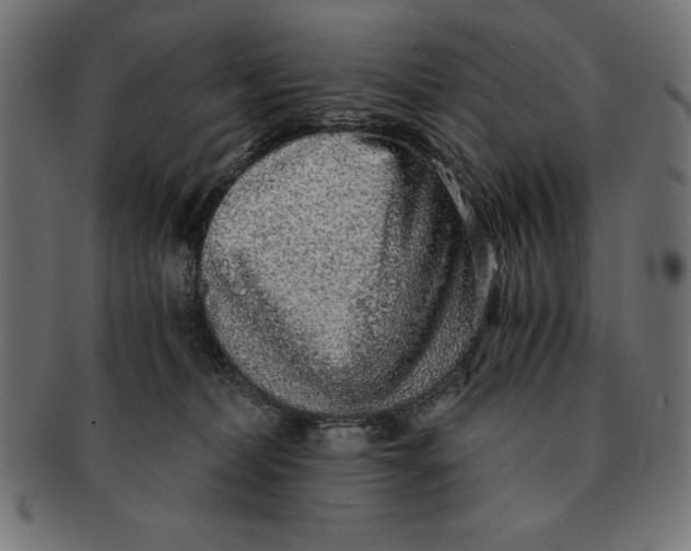 X0000091680228200709201245