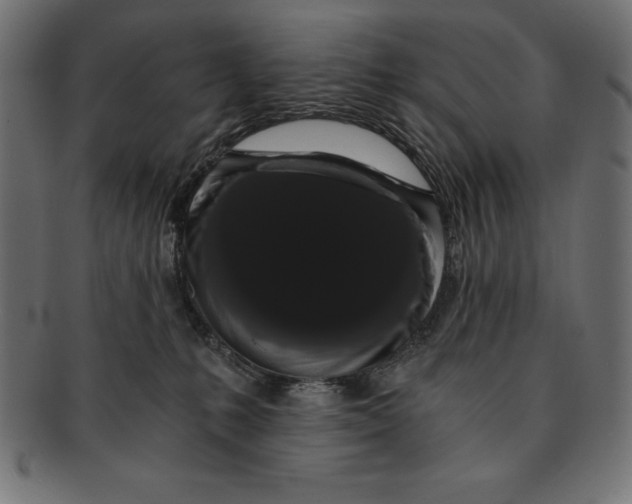 X0000091680231200709201245