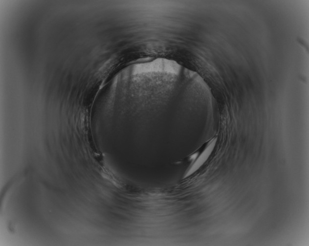 X0000091680233200709201245