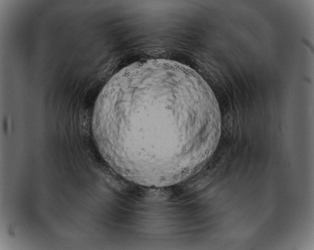 X0000091680234200709201245