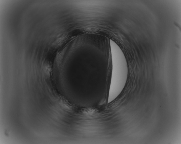 X0000091680235200709201245