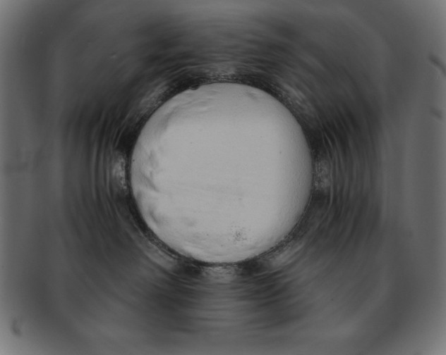 X0000091680238200709201245