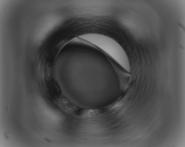 X0000091680239200709201245