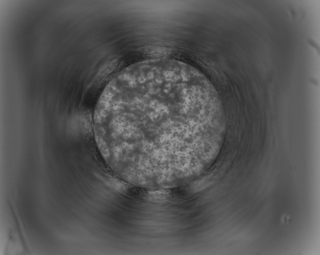 X0000091680240200709201245