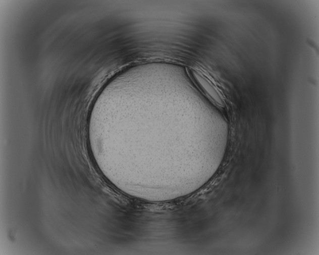 X0000091680241200709201244