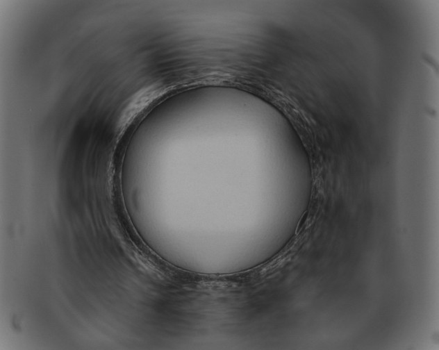 X0000091680242200709201244