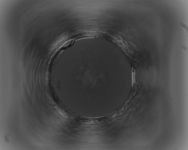 X0000091680243200709201244