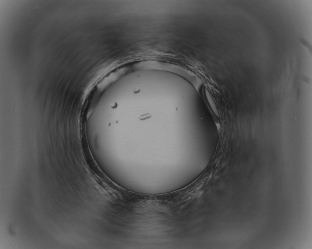 X0000091680244200709201244