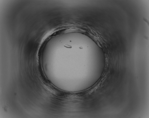 X0000091680246200709201244