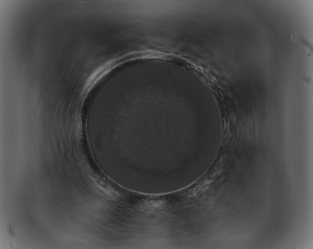 X0000091680247200709201244