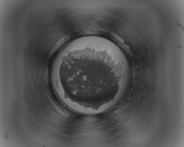 X0000091680250200709201244