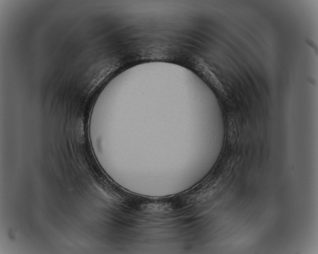 X0000091680251200709201244